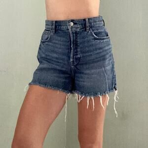 PacSun High Rise Icon Denim Jean Shorts Size 28 Raw Hem Cut Off Button Fly 90s